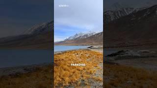 Episode 8 Pangong Tso Lake  #shorts #ladakhtrip