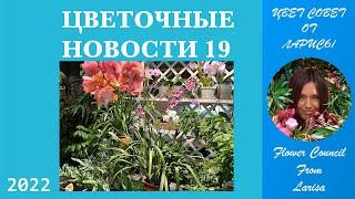 ЦВЕТОЧНЫЕ НОВОСТИ 19