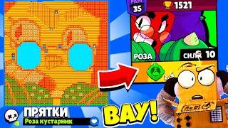 ПРЯТКИ НА КАРТЕ РОЗЫ НОВЫЙ МИНИ РЕЖИМ BRAWL STARS КОНЦЕПТ