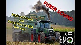 FENDT Favorit 824  -Die Lok-  Mais abfahren mit purem Sound