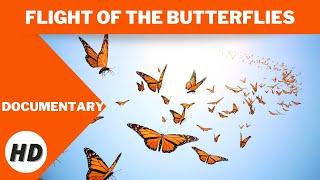 Flight of the Butterflies  Documentary  HD  Full movie in English
