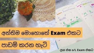 How to prepare for exams in Last minute  Study Tips in Sinhala