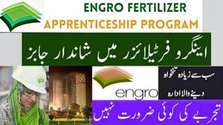 Engro Fertilizers Limited Apprenticeship Jobs 2023 via NTS