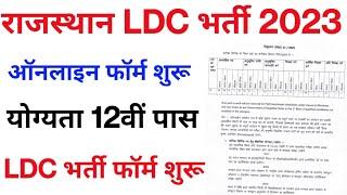 Rajasthan LDC Bharti 2023  राजस्थानी एलडीसी नई भर्ती 2023  LDC Bharti 2023  #LDC  Govt Job