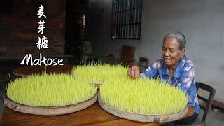 用小麥芽做麥芽糖，耗時7天，看著時間久，其實很簡單｜Guangxi grandma uses germinated wheat to make maltose｜广西 美食｜ 玉林阿婆