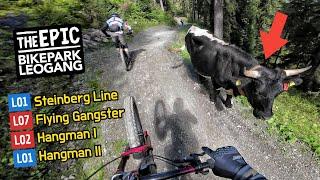 BIKEPARK LEOGANG 2023 alle leichten MTB Strecken  Steinberg Line Hangman 1 & 2  Flying Gangster