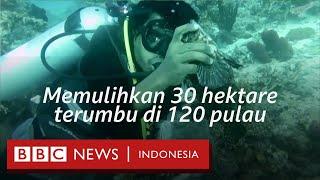 Mantan pemburu liar Dulu merusak kini membantu rehabilitasi karang - BBC News Indonesia