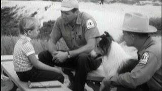 Lassie - Episode #359 - Lassie and the Shifting Sands - Season 11 Ep. 7 - 10181964