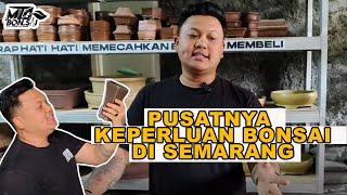 MTG BONSAI PUSAT JUAL BELI KEBUTUHAN BONSAI DAN TANAMAN HIAS