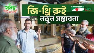 জি-থ্রি রুই মাছে সাফল্য দেখছেন মাছচাষিরা  Shykh Seraj  Channel i 