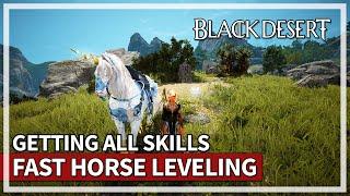 Level Horses Fast & Getting All Skills Tips  Black Desert