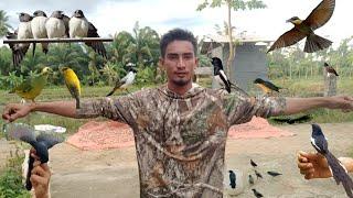 Semua burung jinak berkumpul disini