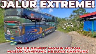 BUS ALS MELEWATI PERKAMPUNGAN SUMBAR MASUK HUTAN MELEWATI JALUR EXTREME TIKUNGAN BERBAHAYA