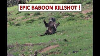 Epic Baboon Hunting 