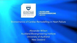 Biomechanics of Cardiac Remodelling in Heart Failure