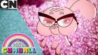 The Amazing World of Gumball  Grandpas Story  Cartoon Network