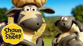 Happy Birthday Timmy  The Genie  2 x Episodes  Shaun the Sheep S4