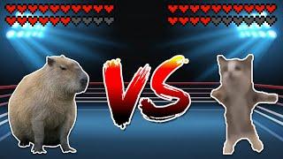 Capybara vs Shnappi cat Meme battle