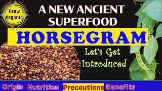 ANCIENT SUPERFOOD Horsegram  Health Benefits  Macrotyloma Uniforum  Precautions  Nutrition