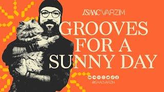 GROOVES FOR A SUNNY DAY DJ SET