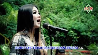 Nella Kharisma - Bojo Galak  Dangdut Official Music Video