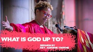 What is God Up To? Sermon by Rev. Adriene Thorne  May 19 2024