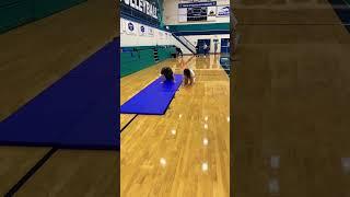 Bear Crawl