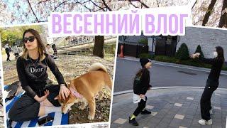 Весна в Корее ^^ Гуляем всей семьёй  KOREA VLOG