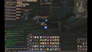 Lineage II - сервер Raid - добитие РБ 104 Ур. Исадоры на Алтаре Шилен - 28.06.2024