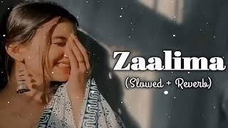 Zaalima Slowed+Reverb Arijit Singh  Lofi Song  Prashant