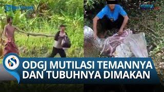 Fakta Baru Kasus Mutilasi ODGJ di Garut Asal Pisau yang Dipakai Pelaku hingga Makan Tubuh Korbannya