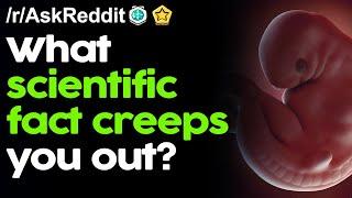 What scientific fact creeps you out? rAskReddit Reddit Stories   Top Posts