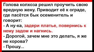 Как голова колхоза проучил свою вредную жену?... Анекдоты Юмор Позитив