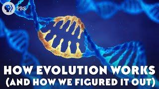 How Evolution Works And How We Figured It Out