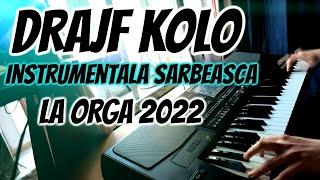 Drajf kolo instrumentala sarbeasca la orga banat 2022