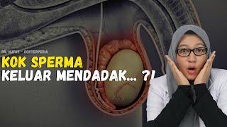 VIDEO EDUKASI - KENAPA SPERMAMU SERING KELUAR MENDADAK ? DOKTER NUFUS