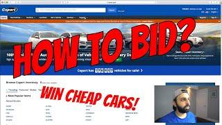 How to Bid on Cars at Copart + What Broker I Use