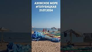 Вс 21 июля #Голубицкая. 2024 г. Медузы Центральный пляж.