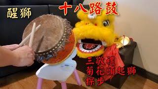 醒獅十八路鼓三敬禮菊花頭起獅探步 #martialart  #liondance #drum #drummer #醒獅 #打鼓 #舞獅 #martialart #wushu #kungfu