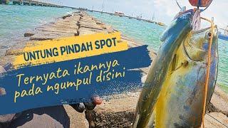 Gila..Umpan Saya Jadi Rebutan Ikan-Ikan Kelaparan