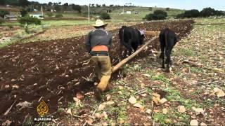 Chronic malnutrition among Mexicos poor