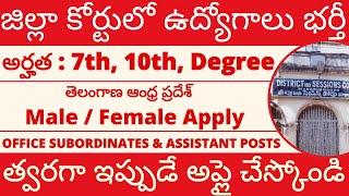 జిల్లా కోర్టులో ఉద్యోగాలు భర్తీ I District Court Jobs 2024 I Court Jobs 2024 I Latest Job in Telugu