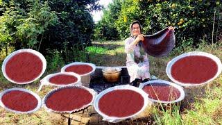 Picking and Making Pomegranate Leather Lavashak  IRAN Village Life  4k