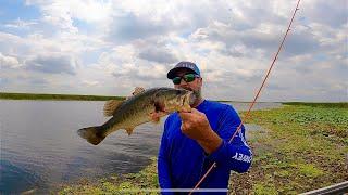 FRESHWATER FISHING IN AIRBOAT catch clean cook  CRAPPIE AND BASS