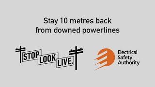 Powerlines Kill – Stay 10m away from downed powerlines