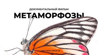 Метаморфозы. Перевоплощение в бабочку. Документальный фильм  Мифы эволюции