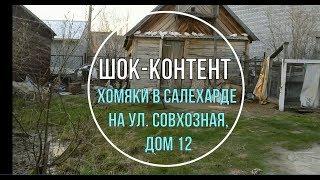 Шок-контент ХОМЯКИ в Салехарде