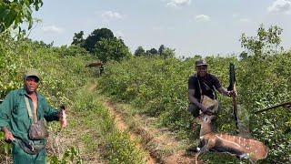 Deer jumped more than 6ft high to escape the hunters - hunting adventure Day1 - Hunting Ep44