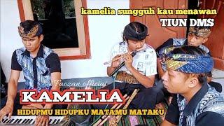 Merdu sekali suara mas tiun MELANTUNKAN lagu dangdut KAMELIA versi ale² datu muter montong bune