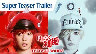 CELLS AT WORK  Super Teaser Trailer
